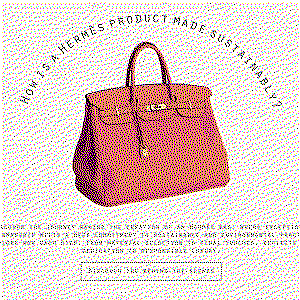 Birkin Bag Awareness Campaign